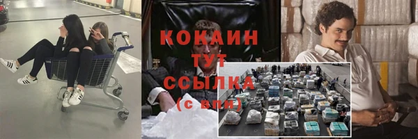 Альфа ПВП Ельня