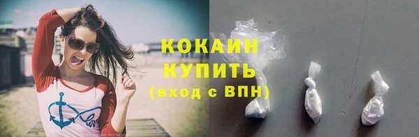 молекула духа Елизово