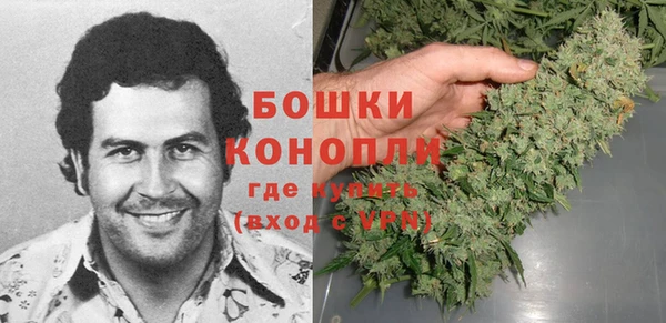 Альфа ПВП Ельня