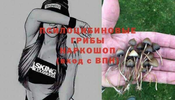 молекула духа Елизово