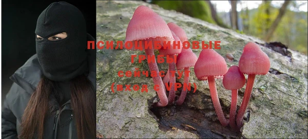 Альфа ПВП Ельня