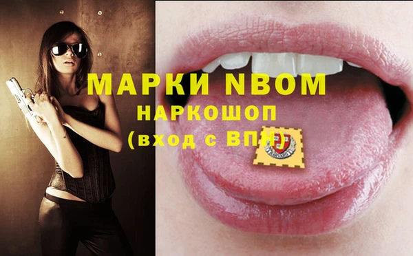 Альфа ПВП Ельня