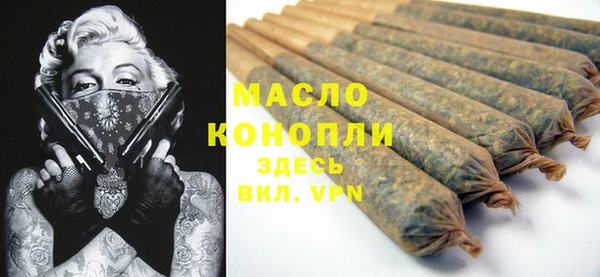 молекула духа Елизово